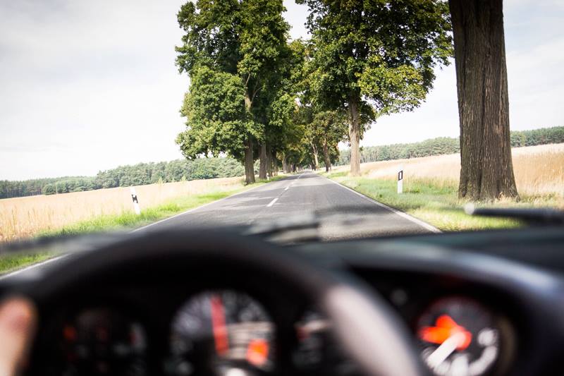 1186220_10201236146899521_648560294_n